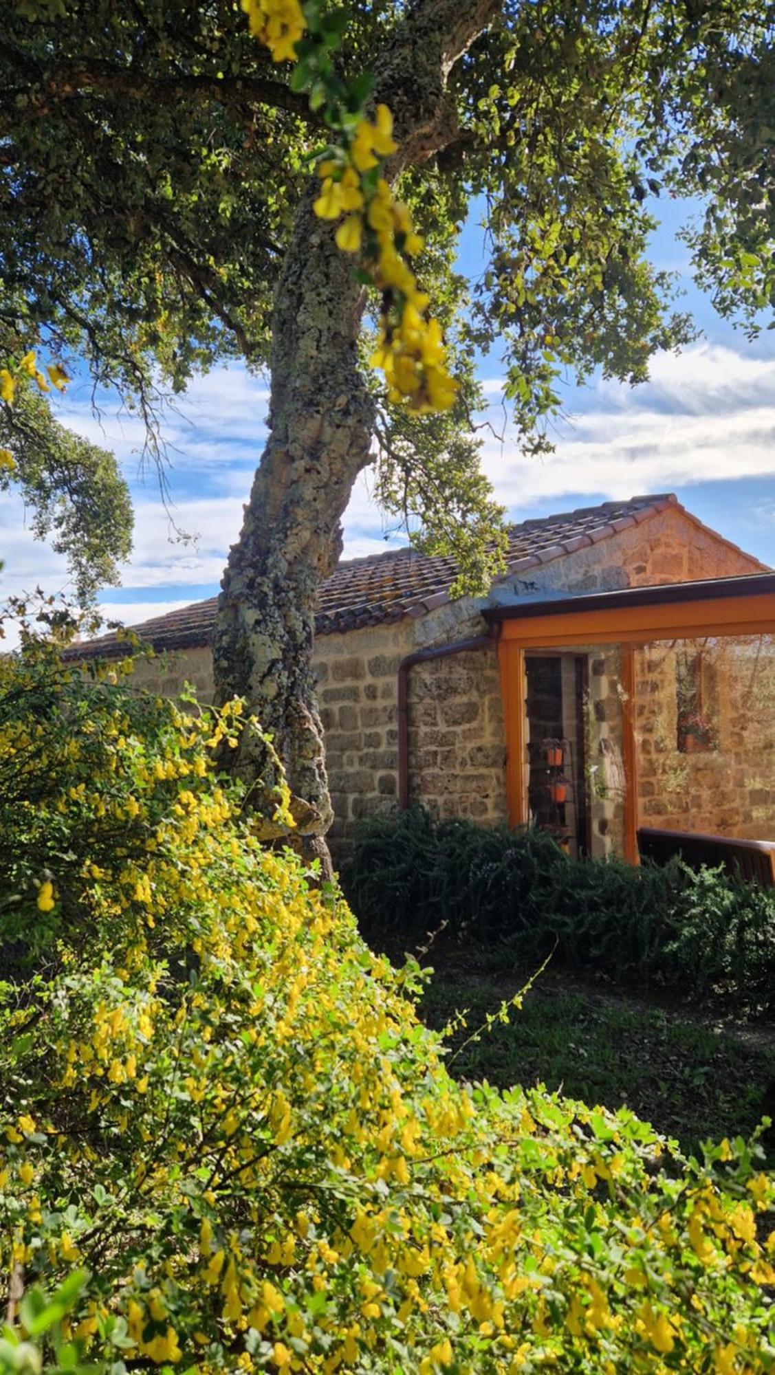 Limbara Dreaming Ξενοδοχείο Tempio Pausania Εξωτερικό φωτογραφία