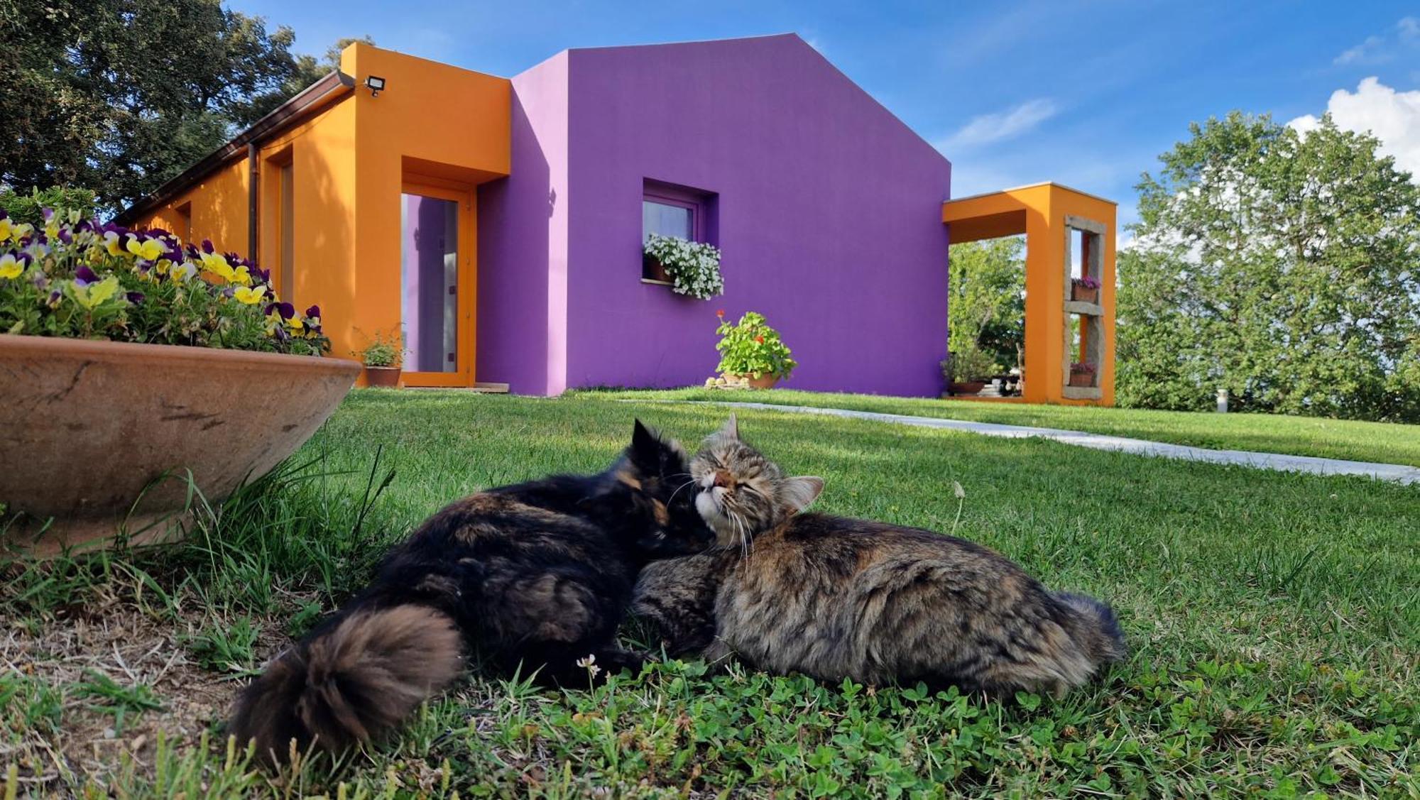 Limbara Dreaming Ξενοδοχείο Tempio Pausania Εξωτερικό φωτογραφία